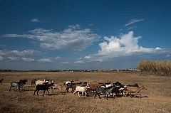 ria formosa